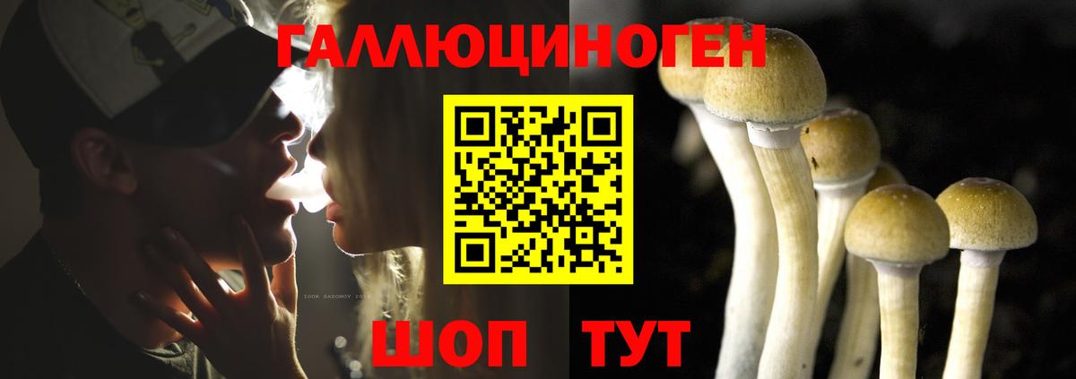 Псилоцибиновые грибы Magic Shrooms  Псилоцибиновые грибы Magic Shrooms  Вход с VPN  Москва 